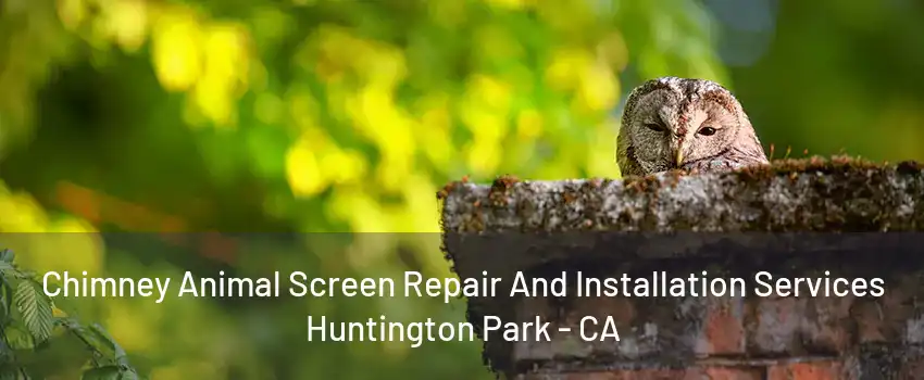 Chimney Animal Screen Repair And Installation Services Huntington Park - CA