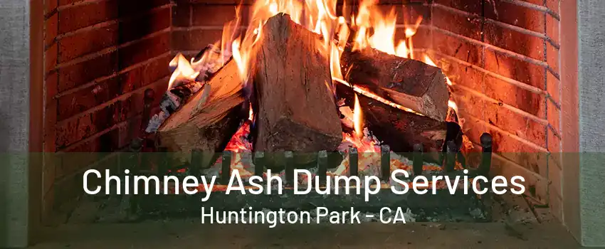 Chimney Ash Dump Services Huntington Park - CA