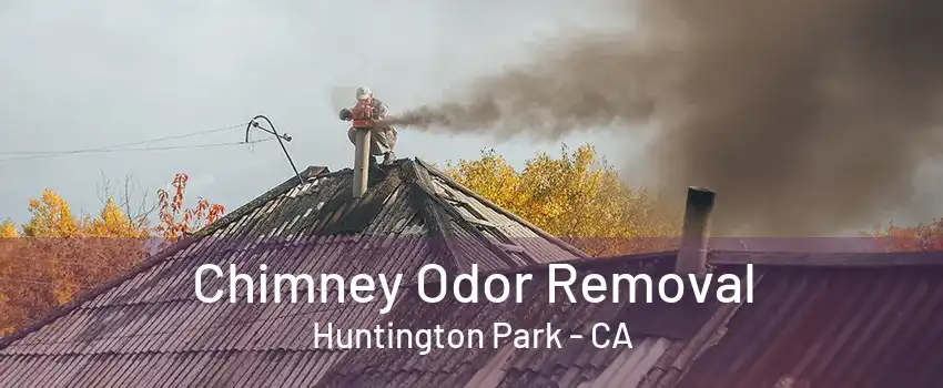 Chimney Odor Removal Huntington Park - CA