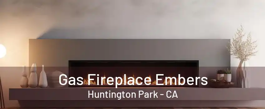 Gas Fireplace Embers Huntington Park - CA