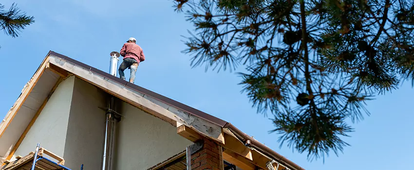 Birds Removal Contractors from Chimney in Huntington Park, CA