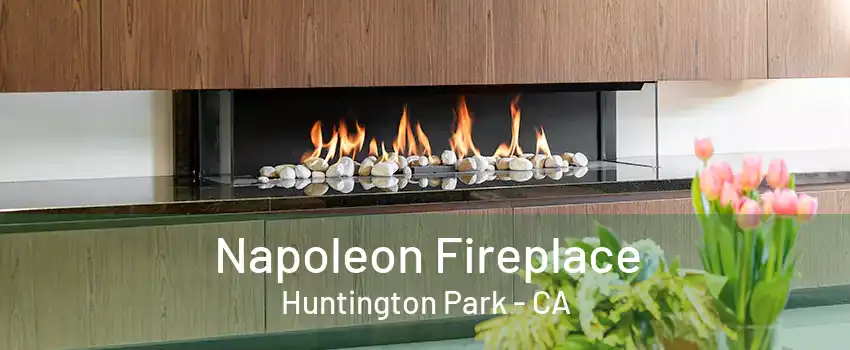 Napoleon Fireplace Huntington Park - CA