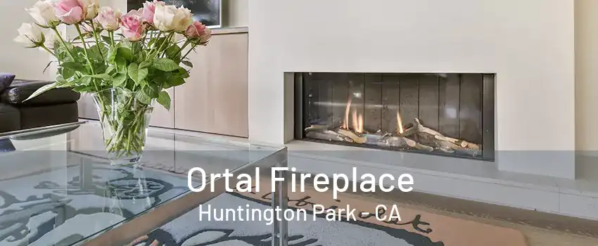 Ortal Fireplace Huntington Park - CA